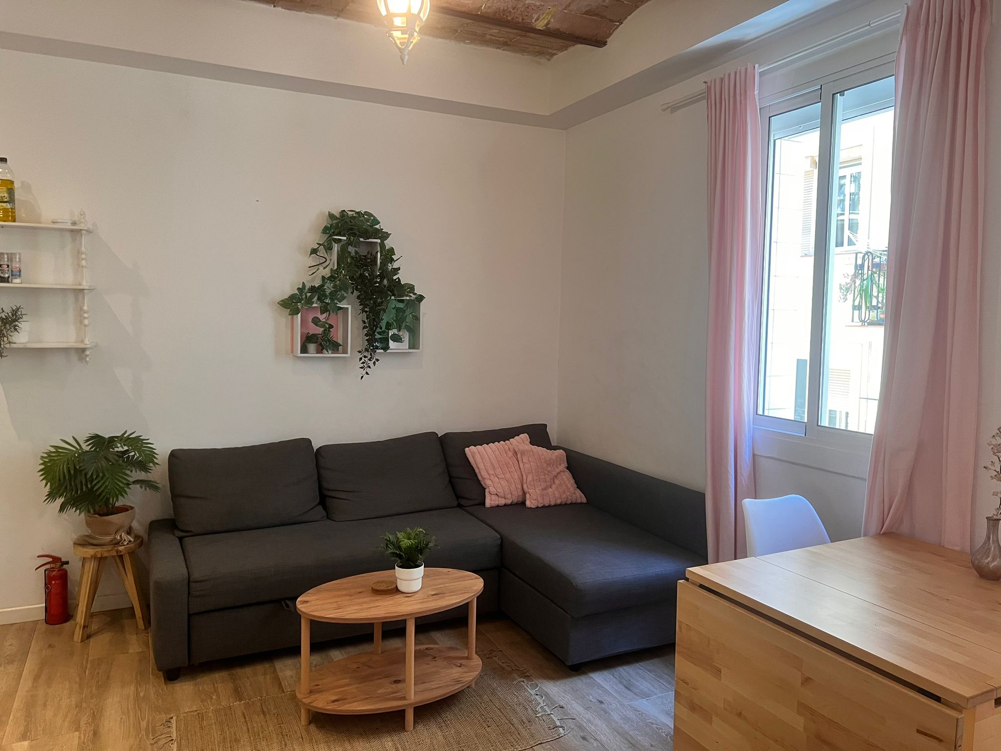 🌿 Sala con plantas
